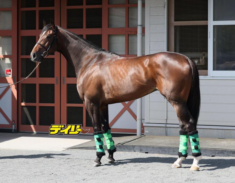 ジョバンニ　評価Ｂ