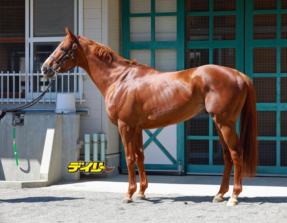 サンライズアース　評価Ａ