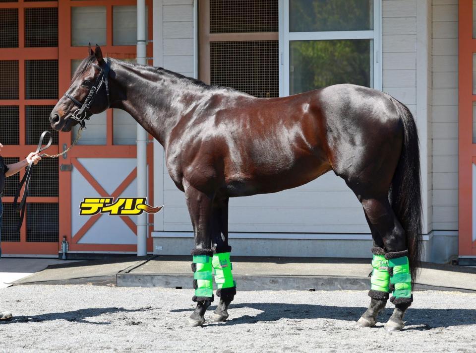 ジャスティンパレス　評価Ｂ