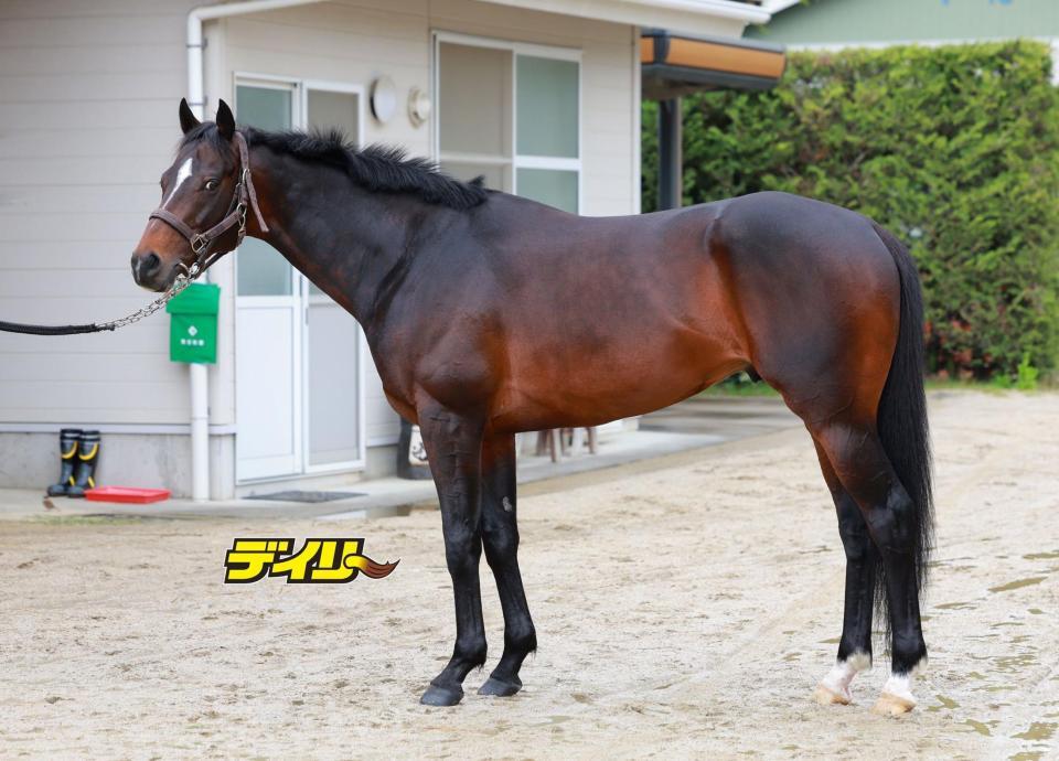 シュヴァリエローズ　評価Ｂ