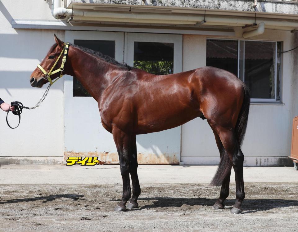 ワープスピード　評価Ｂ