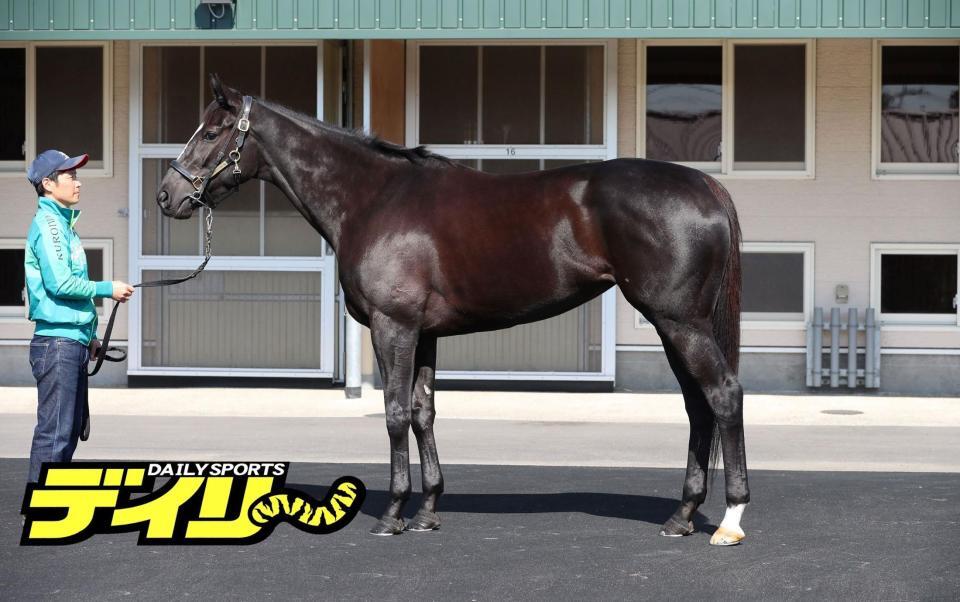 アスコリピチェーノ　評価Ｂ