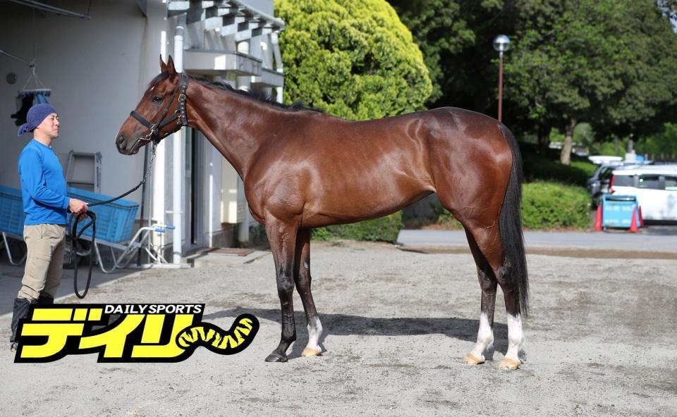 ステレンボッシュ　評価Ｂ