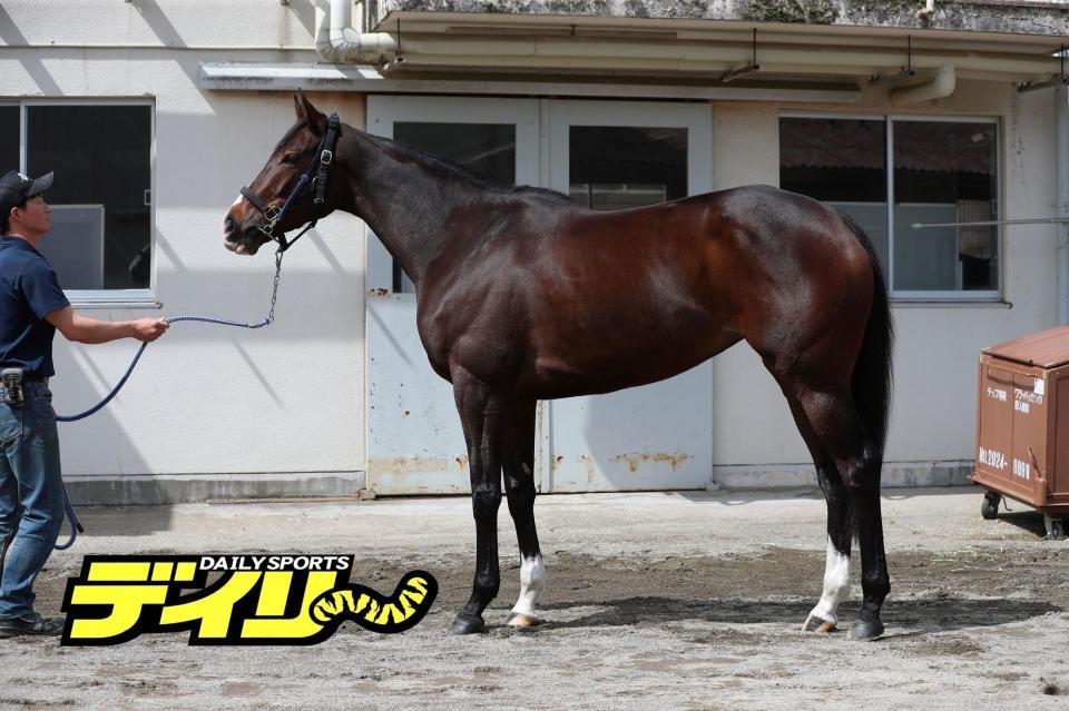 ボンドガール　評価Ｂ