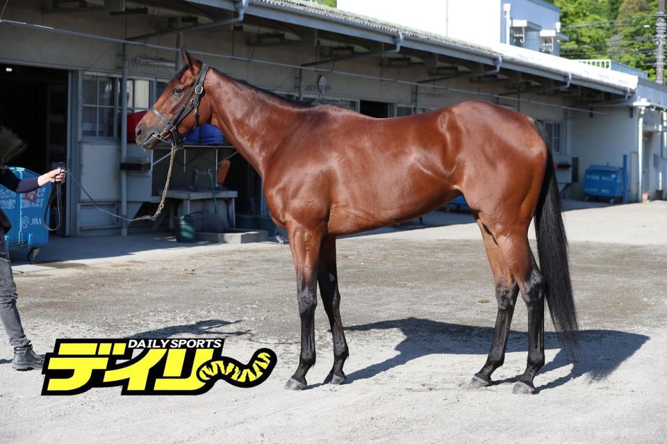 ミアネーロ　評価Ｃ