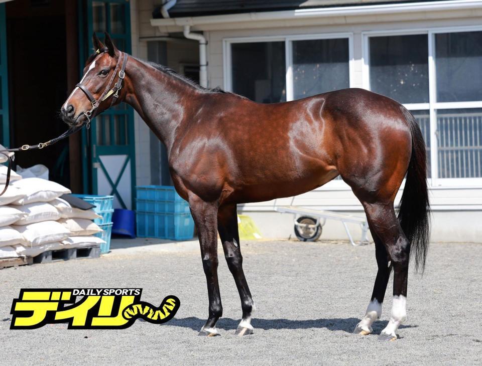 ビヨンドザヴァレー　評価Ｂ