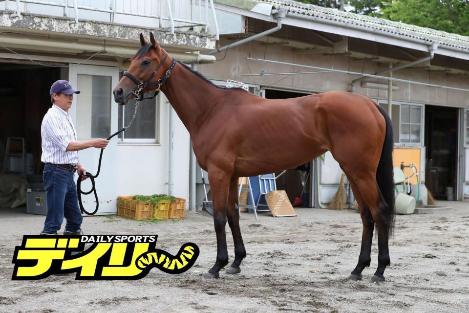 シンリョクカ　評価Ｂ