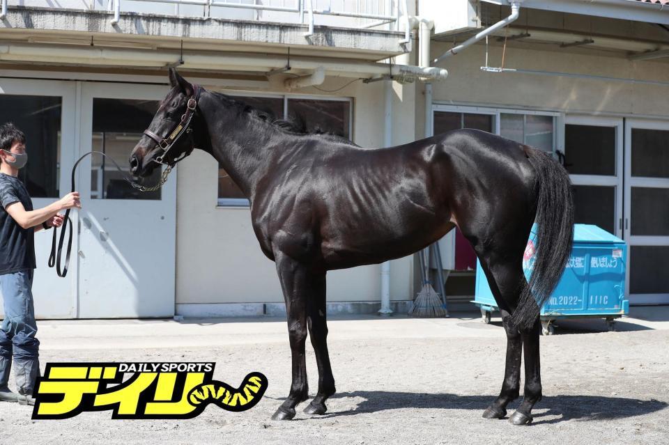 クリスマスパレード　評価Ｂ