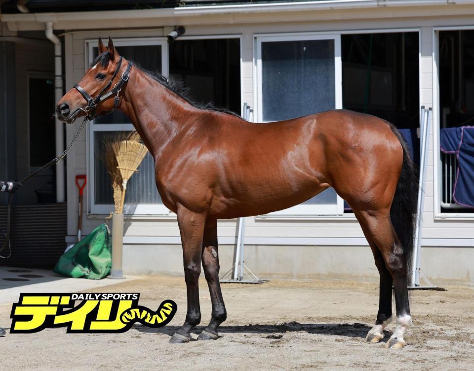 アリスヴェリテ　評価Ｂ