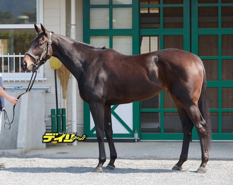 アルマヴェローチェ　評価Ｓ