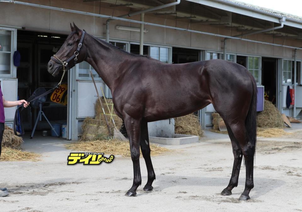 エストゥペンダ　評価Ｂ