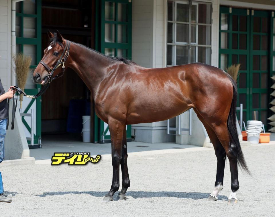 レーゼドラマ　評価Ｂ