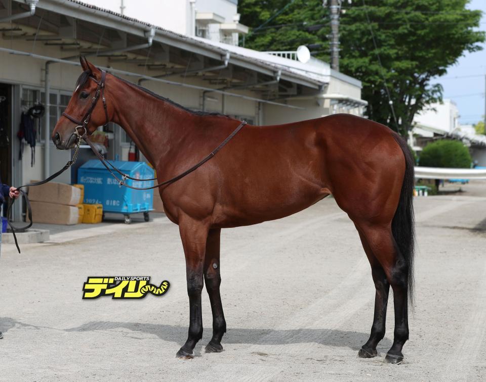 エンブロイダリー　評価Ａ