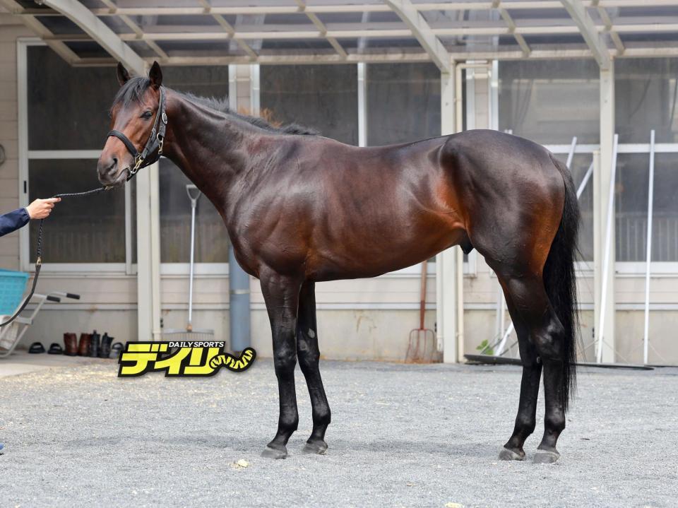 ミュージアムマイル　評価　Ａ