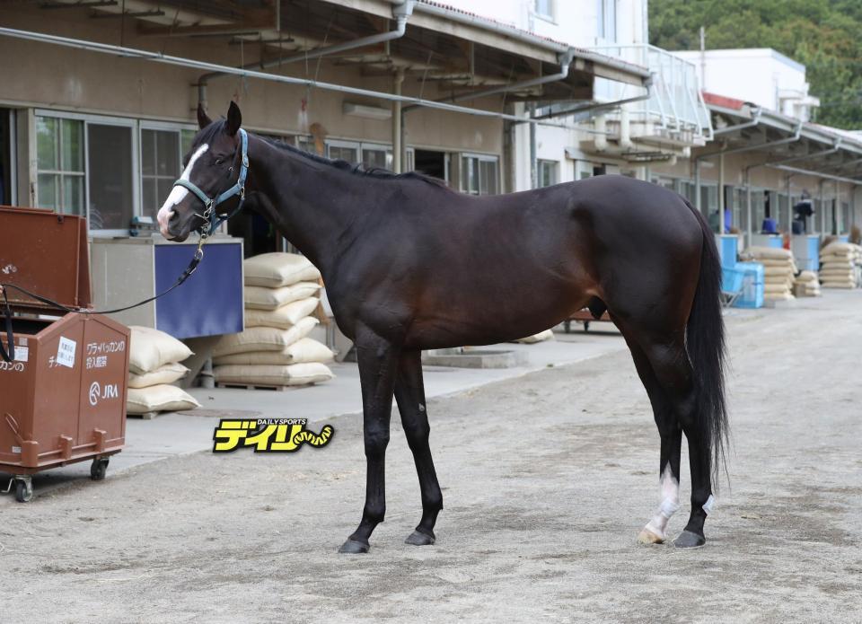 マスカレードボール　評価　Ｂ