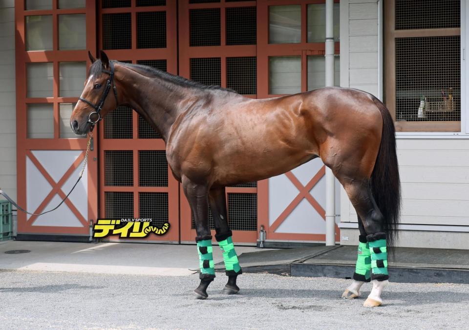 ジョバンニ　評価　Ｂ