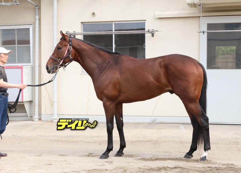 ファンダム　評価　Ｃ