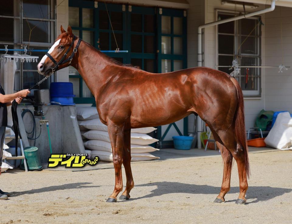 レディネス　評価　Ｃ