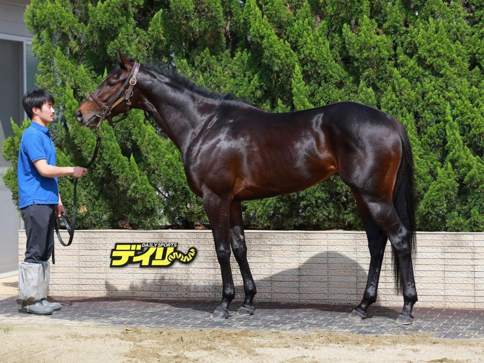 エムズ　評価　Ｂ