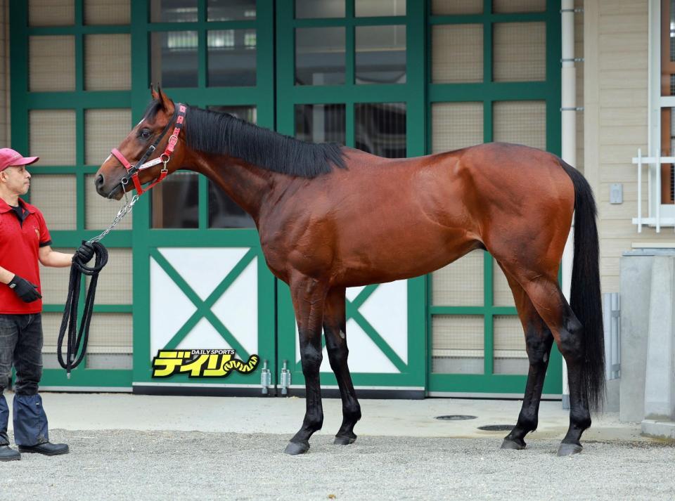 ドラゴンブースト　評価　Ｃ