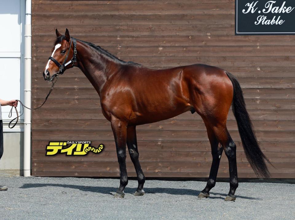 マイユニバース　評価　Ｂ