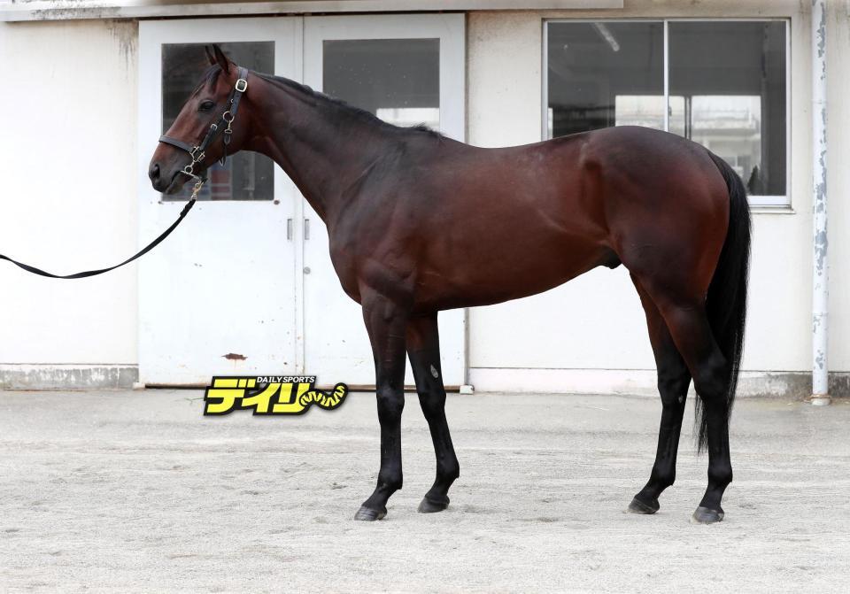 カラマティアノス　評価　Ｃ