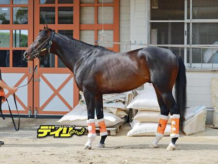 ジャンタルマンタル　評価Ｂ