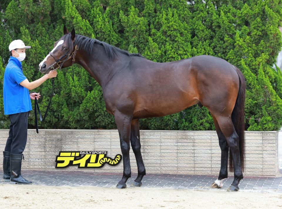 ソウルラッシュ　評価Ａ