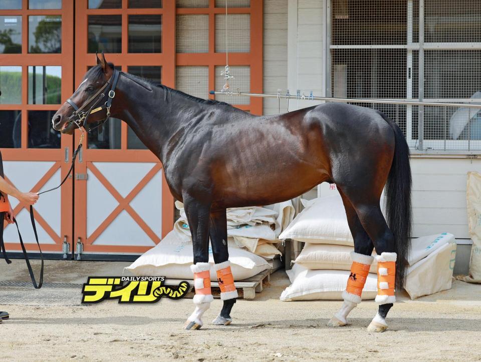 ジャンタルマンタル　評価Ｂ