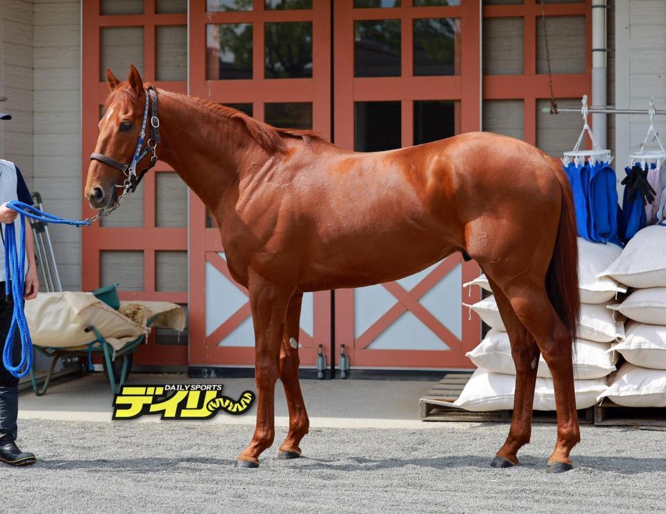 ウォーターリヒト　評価Ｂ