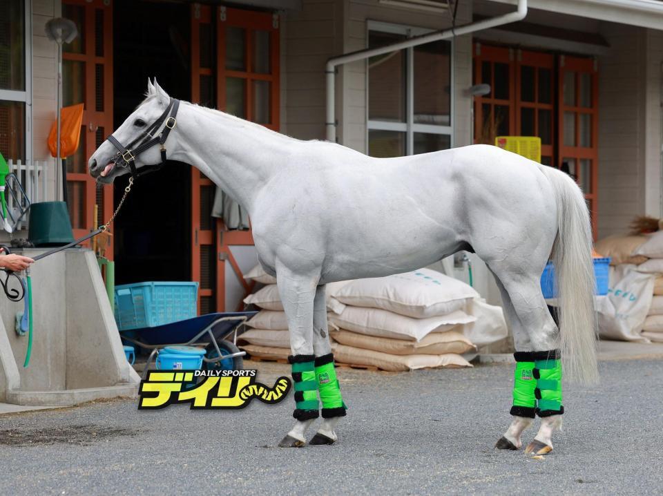 ガイアフォース　評価Ｂ