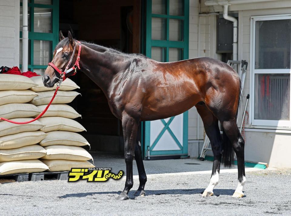 エコロヴァルツ　評価Ｂ