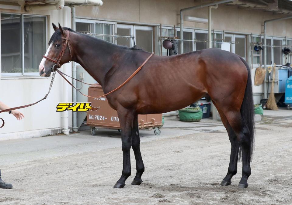 ダノンベルーガ　評価Ｂ