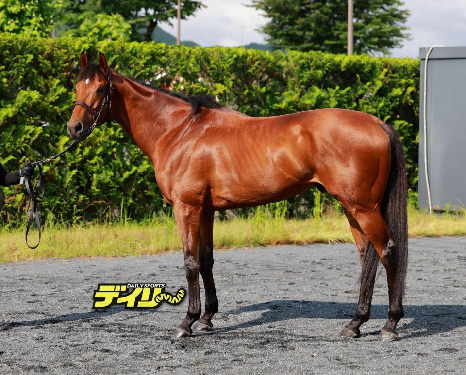 ベラジオオペラ　評価Ａ