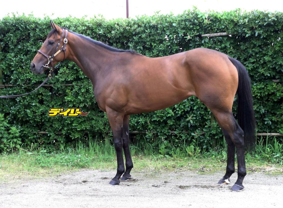 レガレイラ　評価Ａ