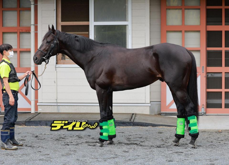 ジャスティンパレス　評価Ｂ