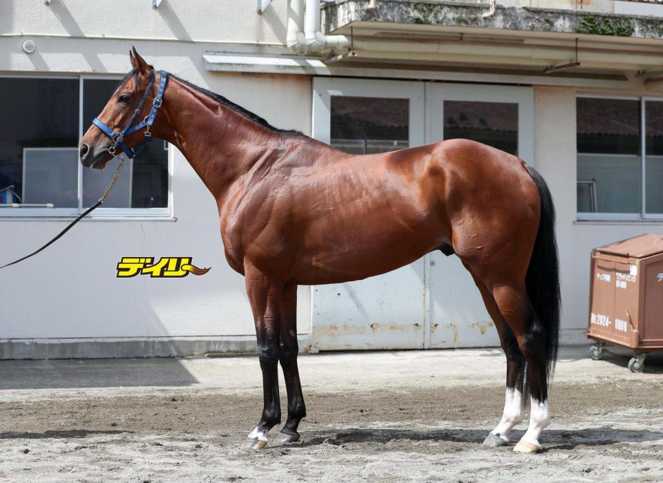 ソールオリエンス　評価Ｂ