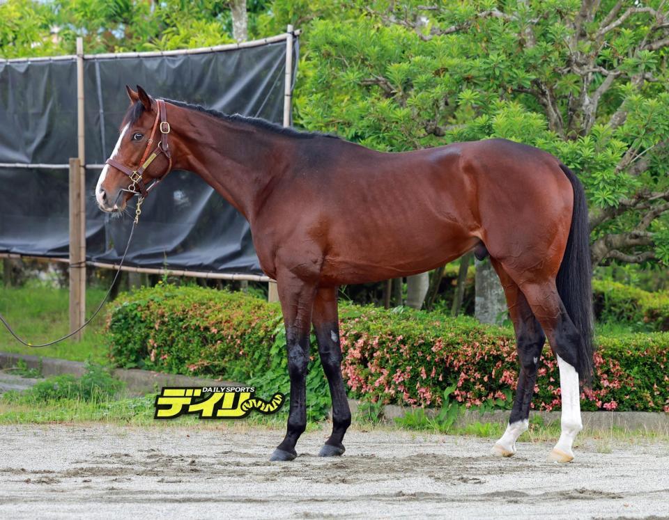 ローシャムパーク　評価Ｂ