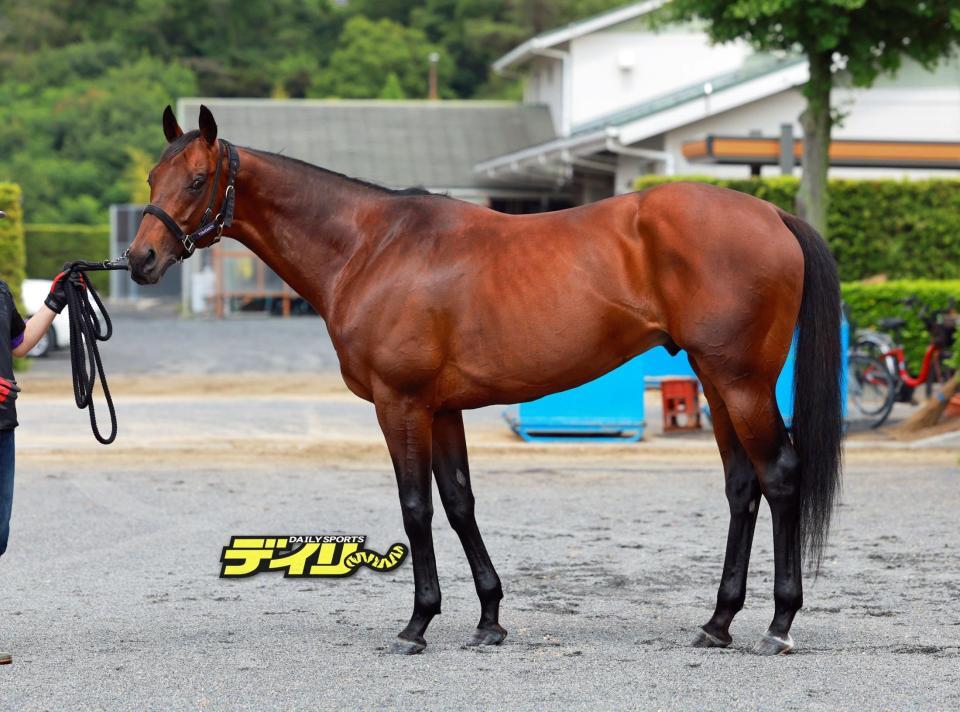 ヨーホーレイク　評価Ｂ