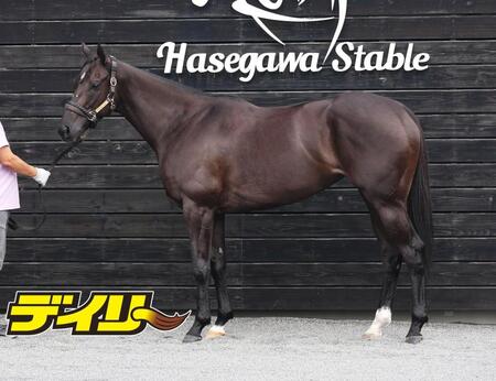 ナムラクレア　評価Ｂ