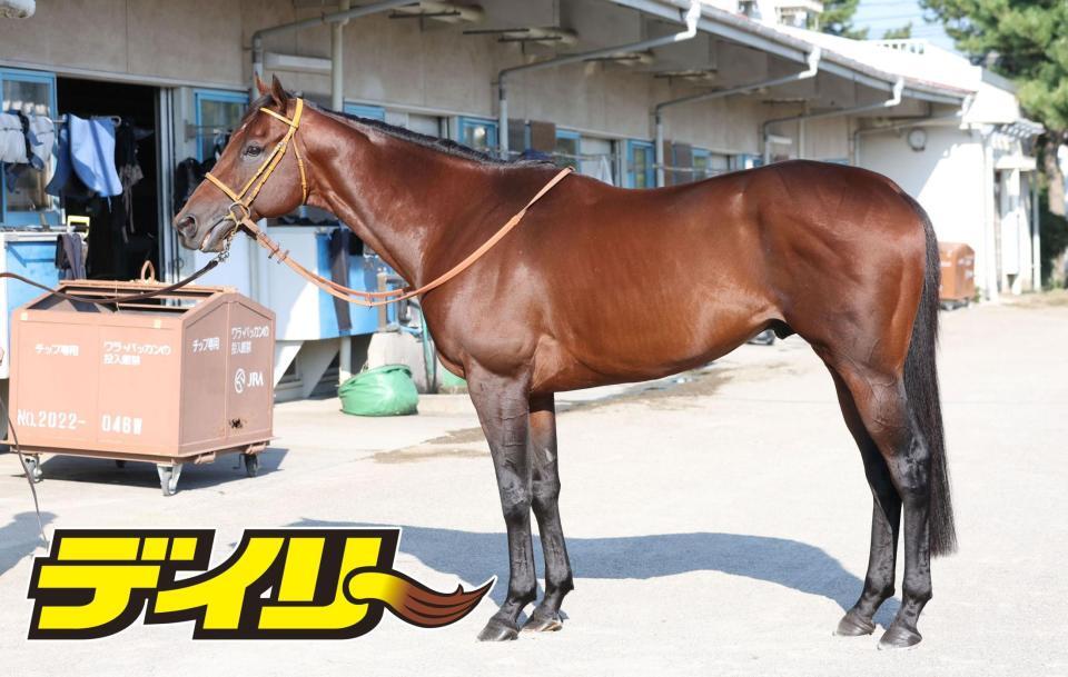 サトノレーヴ　評価Ａ