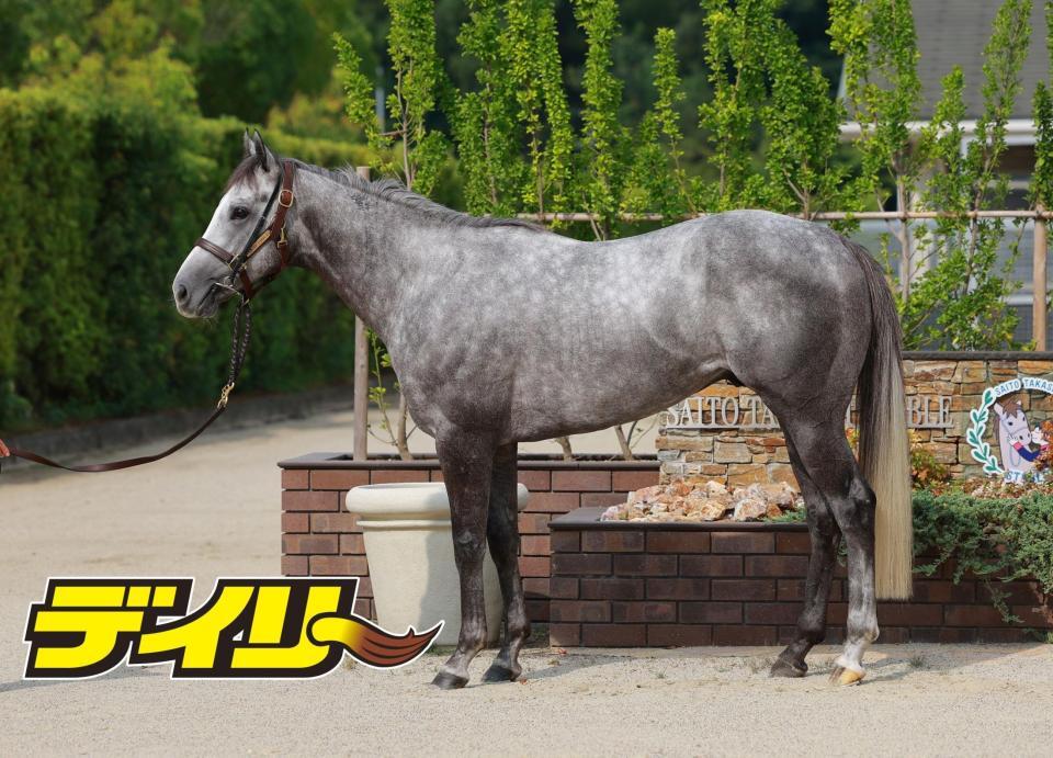 ヤマニンアルリフラ　評価Ｂ