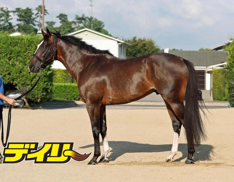 カンチェンジュンガ　評価Ａ