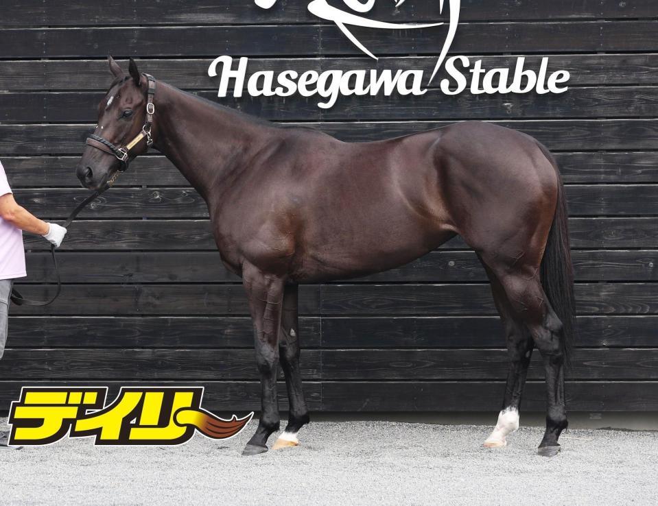 ナムラクレア　評価Ｂ