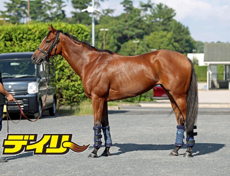 ピューロマジック　評価Ｂ