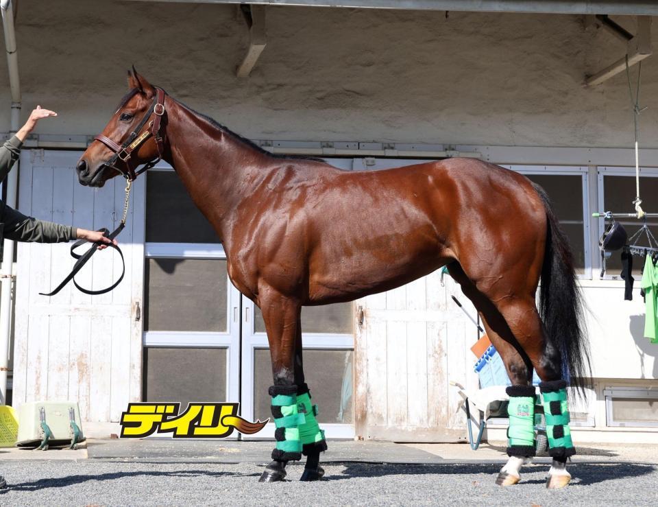 テレサ　評価Ｂ