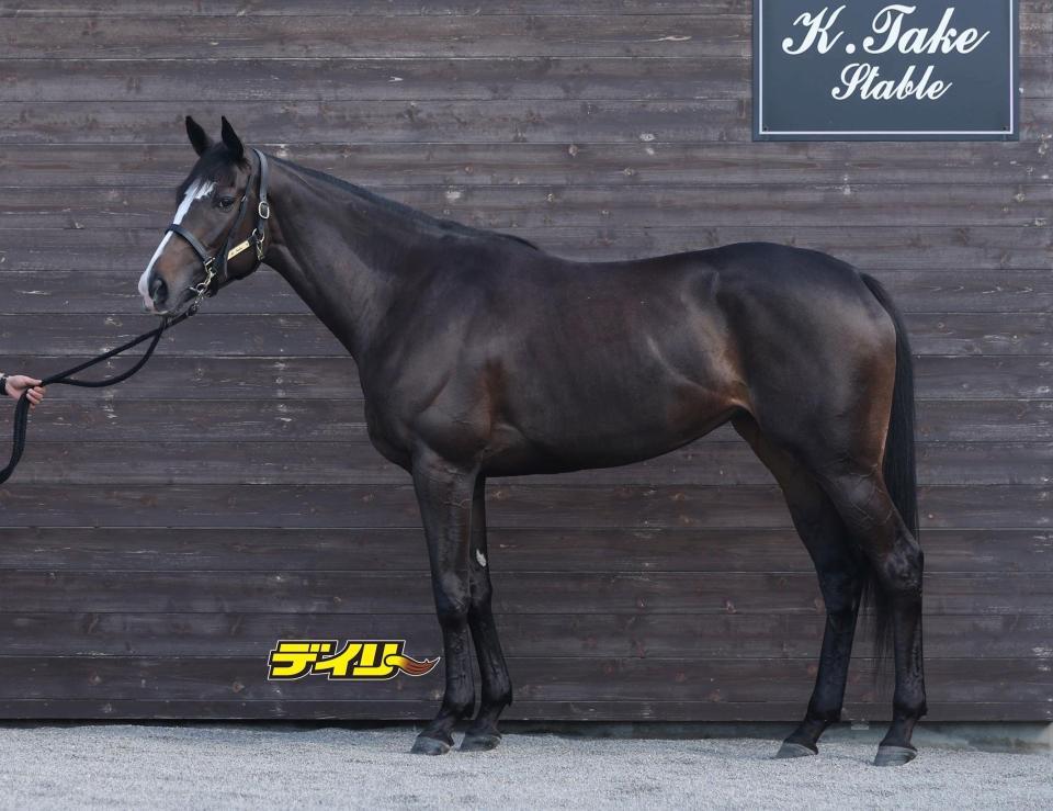 ヴーレヴー　評価Ｃ