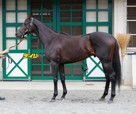 ミラージュナイト　評価Ｂ