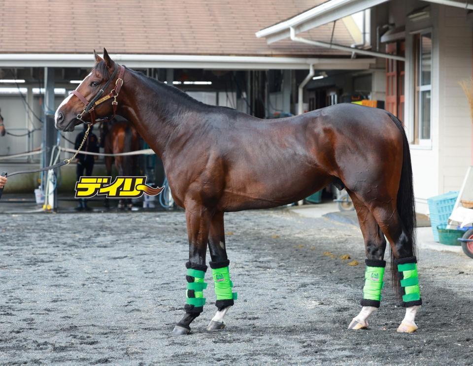 ゲルチュタール　評価Ｂ