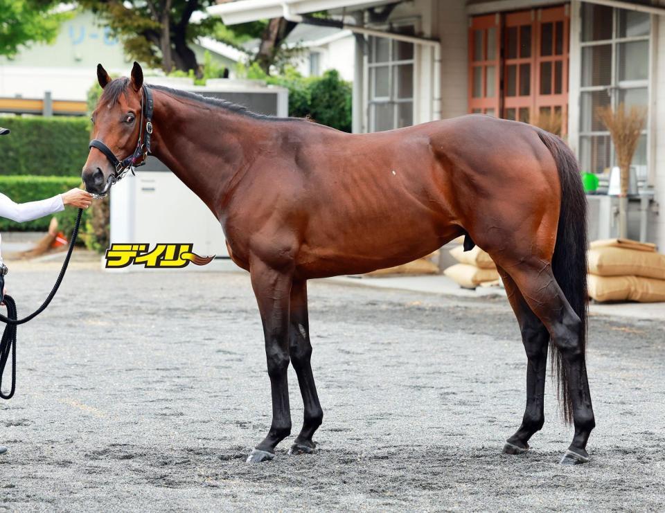 ライトトラック　評価Ｂ